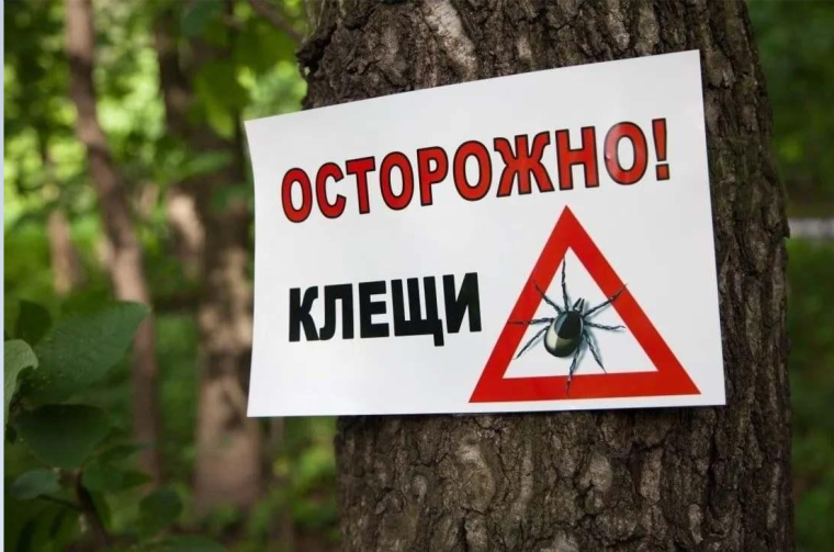 "Осторожно! Клещи!".